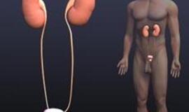 Naujos operacijos šlapimo nelaikantiems vyrams