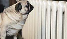 Daugiausiai šilumos - uostamiesčio šiaurei