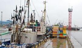 Gelbstint valstybę, skandinami žvejai