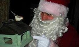 Kalėdinių renginių daugiau nei dienų