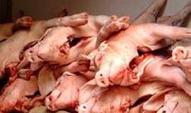 VMVT: "Lietuvos vartotojai gali jaustis saugūs, nes kiaulienos ir gyvų kiaulių iš Airijos neįsivežama"