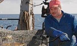 Didėja tik menkių kvota