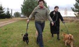 Nėra galimybių laikyti šunį? Pasiimk savaitgaliui