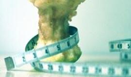 JAV specialistai pataria: žiemą - jokių dietų