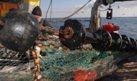 Baltijos jūroje - mirties zonos