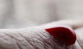 Šv. Valentino dienos proga raginama dovanoti gyvybę