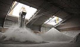 "Bega" ruošiasi naujam veiklos šuoliui