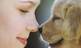 Šuo - šeimos santykių indikatorius