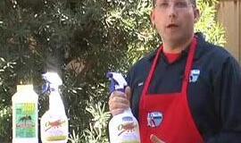 Piemonės nuo sodo kenkėjų ir leukemija