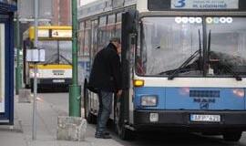 Klaipėdoje skelbiama zuikių medžioklė