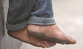 Iš direkcijos - basomis