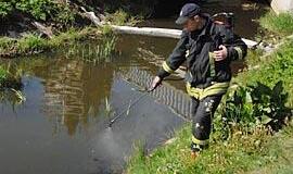 Tarša Rąžės upelyje likviduota