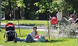 Klaipėda ginkluojasi taisyklėmis