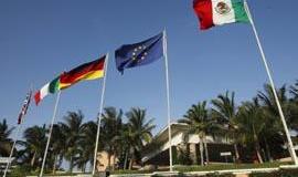 Meksikoje surengtas forumas dėl kiaulių gripo