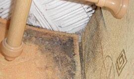 PSO: pelėsis patalpose stipriai didina ligų riziką