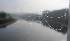 Po liūčių tuoj pat maudytis nepatartina, teigia medikai