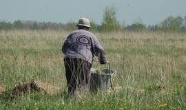 Lietuvoje apleistos žemės kasmet galėtų atnešti papildomai apie 1,35 mlrd. litų pajamų