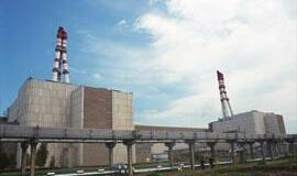 Prof. dr. E. Ušpuras: dėl saugos problemų nebūtina skubiai uždaryti Ignalinos atominę elektrinę, bet...