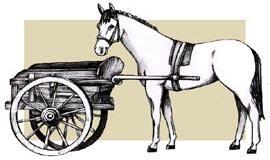 Vežimas pastatytas prieš arklį