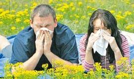 Savarankiškas slogos gydymas - ne išeitis