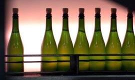 Aptiktas genas, atsakingas už suvartojamo alkoholio kiekį