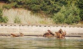 Vietoje kapinių - jachtklubas
