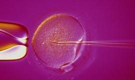 A. Čaplikas ragina Vyriausybę apsispręsti dėl dirbtinio apvaisinimo