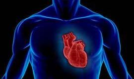 Artimojo netektis didina širdies infarkto riziką