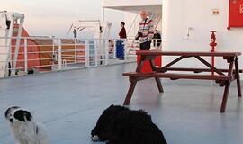 Keleiviai keltuose - tik sviestas ant sumuštinio