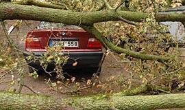 Ekstremalumas suvokiamas skirtingai