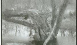 "Šviesos kaligrafija" - tik čia ir dabar