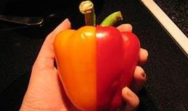 1,4 tonos genetiškai modifikuotų maisto produktų grąžinta perženklinti