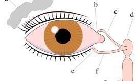 Užsikimšus ašarų latakams operacijos atliekamos lazeriu
