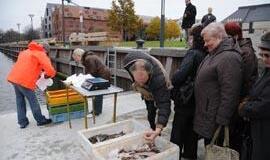 Plečiasi prekyba žuvimis