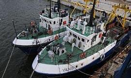 Žvejybos įmonei - grėsmė likti be menkės