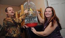 Laimingas bilietas gyvenimo loterijoje