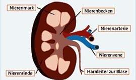 Sunkiai sergančiam vyriškiui atlikta trečioji inksto transplantacija