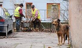 Tvarkantys miestą užsidirba ne tik kruopoms