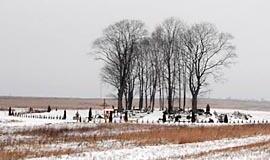 Slengių kapinės supriešino gyventojus