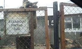 Naujakuriai ir senbuviai gyvenimą kaime mato skirtingai