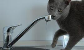 Už karštą vandenį nenori mokėti brangiau