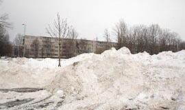 Sniegas klaipėdiečiams per brangus