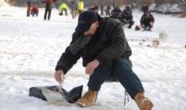 Miesto tvarkos taisyklės - ties paranojos riba