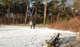 Aplinkai tvarkyti pinigų yra