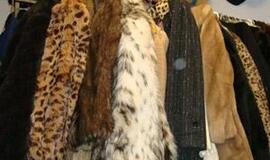 Pavogti kailiniai nesušildė