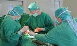 Nelaimę tirs auditoriai