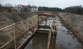 Kopgalio oazei - žalia šviesa