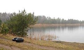 Tvenkinio likimas apaugo gandais