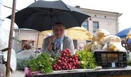 Klaipėdiečiai grįžta prie žemės