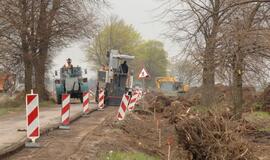 Medžiai neturi augti ant kelio